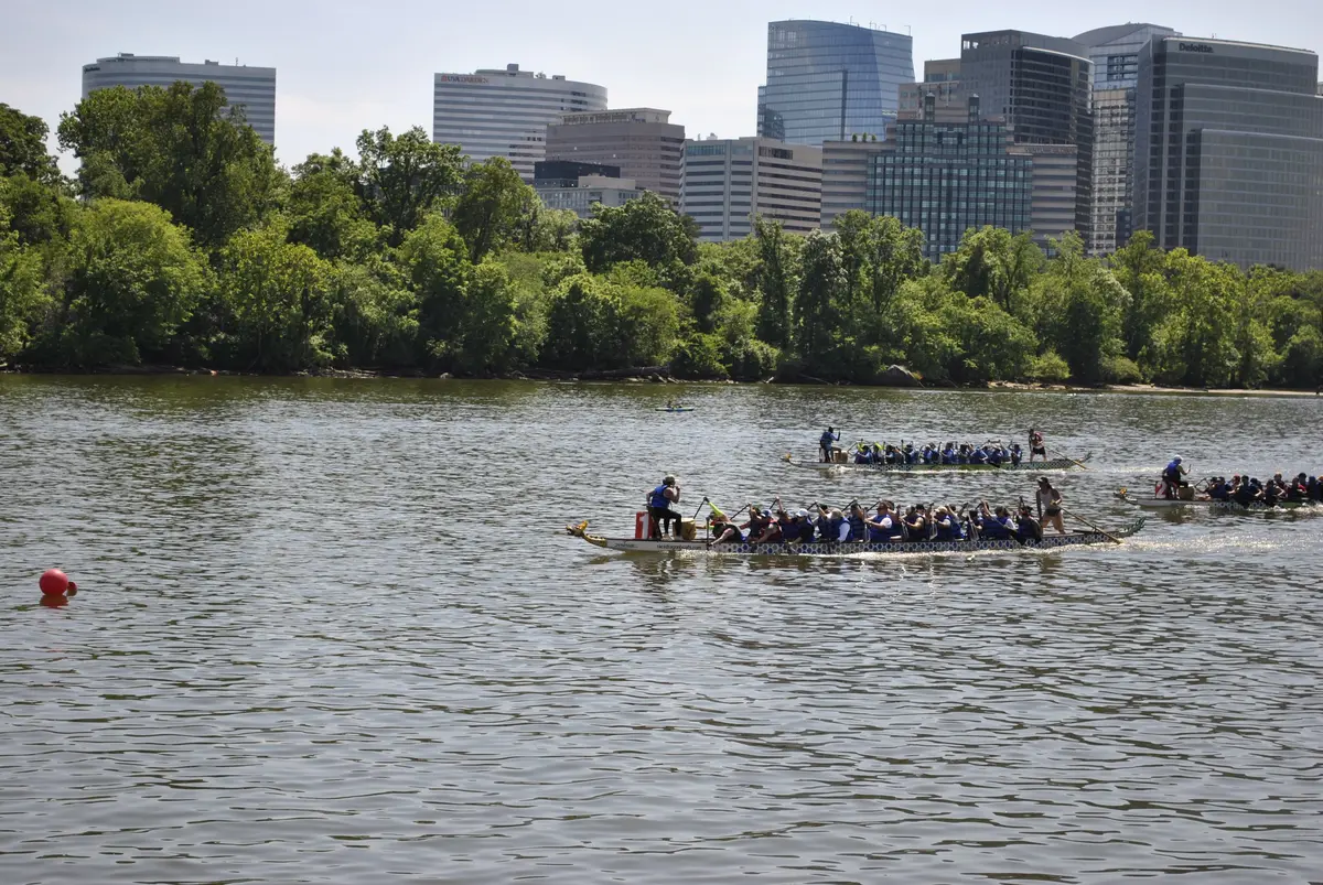 DC Dragon Boat Festival at Georgetown Waterfront Park